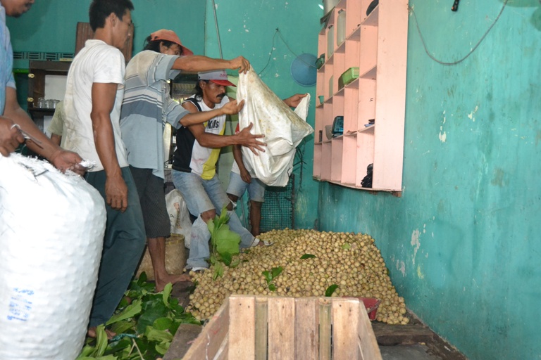 “Tunas Harapan” Sediakan Dua Ton pada Bazar Duku Asli Kalikajar