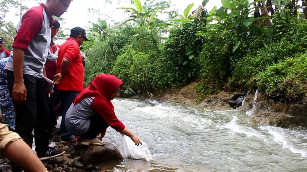 Plt Bupati Tiwi Tebar Benih Ikan di Sungai Wotan