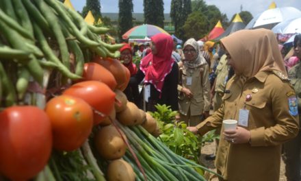 Festival Hasil Pertanian, Tampilkan Produktivitas di Musim Kemarau