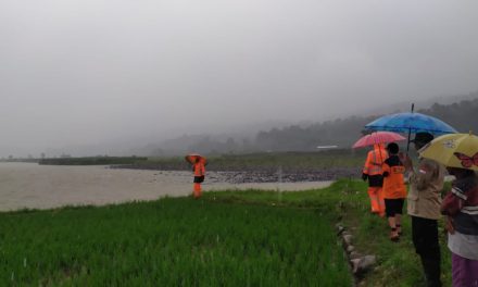 Debit Air Sungai Gintung Meningkat, Krib Bronjong Terbawa Arus