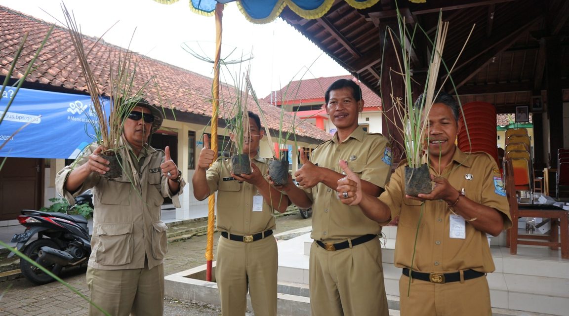 Mitigasi Bencana, BPBD Purbalingga Distribusikan Rumput Vetiver di Kecamatan Karangjambu