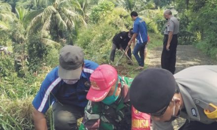 Karang Taruna Sari Kerja Bhakti Hijaukan Daerah Rawan Longsor