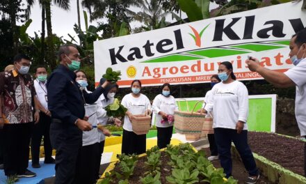 Berkah Juara Nasional, KWT Karya Tani Pengalusan Miliki Katel Klawu Agroeduwisata