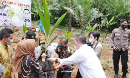 Dapat Bantuan Bibit Kelapa, Bupati Tiwi Ingin KUB Ekspor Langsung Produk Gula Kristal Organik