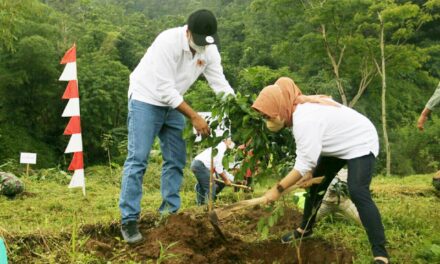 Bupati Tiwi : Ayo Tanam Pohon Untuk Lestarikan Mata Air