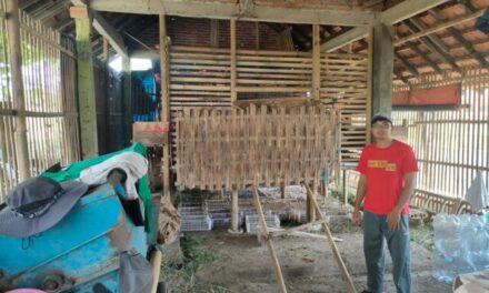 Manfaatkan Limbah Pertanian dan Limbah Ternak, Kelompok Tani Muda Desa Kalimanah Wetan Olah Pupuk Organik
