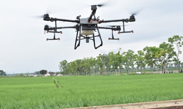 Gunakan Drone, Dinpertan Purbalingga Kendalikan Hama dengan Pestisida Hayati