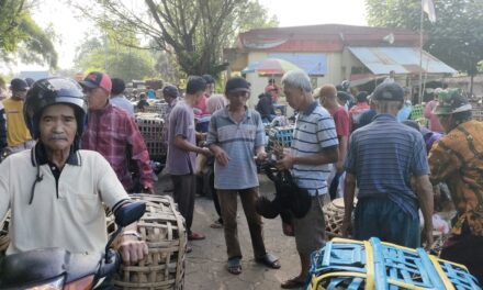 Pedagang Ayam Di Pasar Hewan Purbalingga Panen Jelang Lebaran
