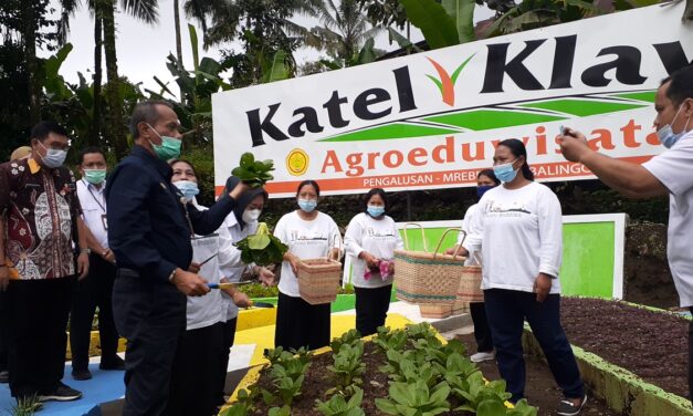 Berkah Juara Nasional, KWT Karya Tani Pengalusan Miliki Katel Klawu Agroeduwisata